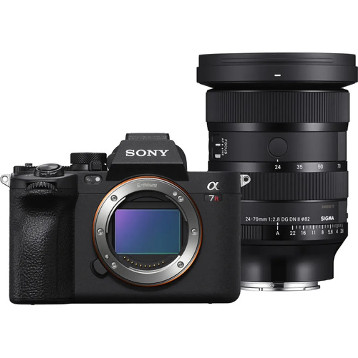 Sony A7R V + Sigma 24-70mm f/2.8 DG DN II Art