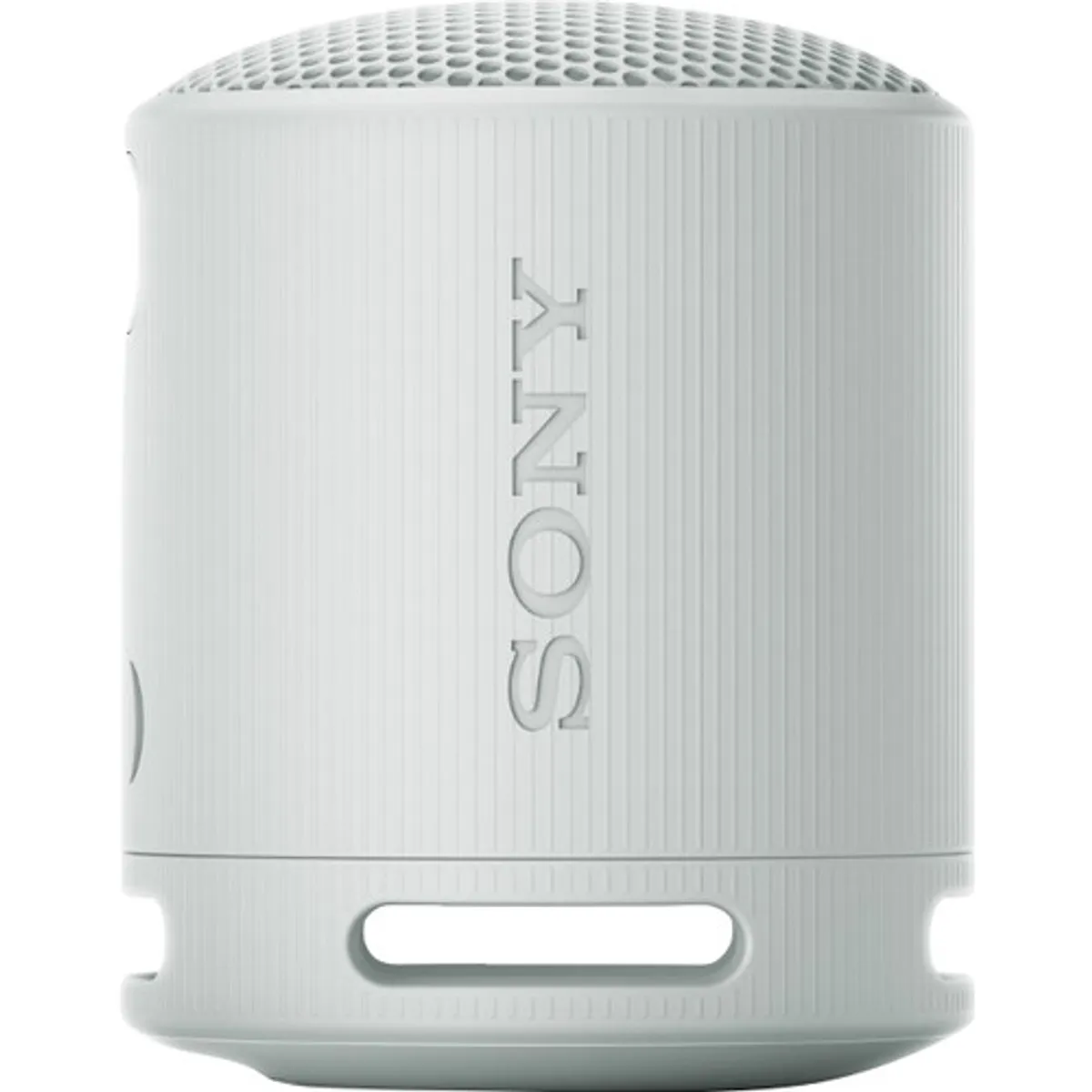 Sony SRS-XB100 Grijs