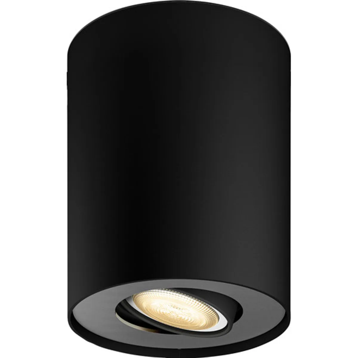 Philips Hue Pillar Opbouwspot White Ambiance - Zwart - 1-spots