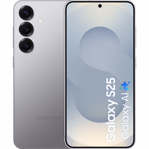 Samsung Galaxy S25 256GB Zilver 5G