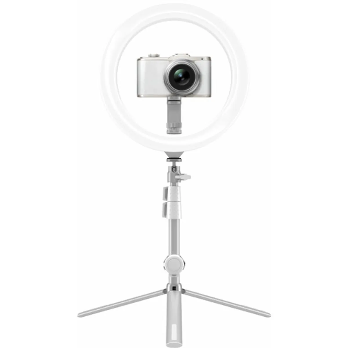 Kodak 10" Ring Light